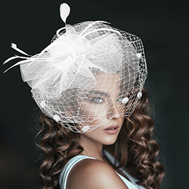 Flower Feather Mesh Bow Fascinator / Headband