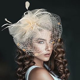 Flower Feather Mesh Bow Fascinator / Headband