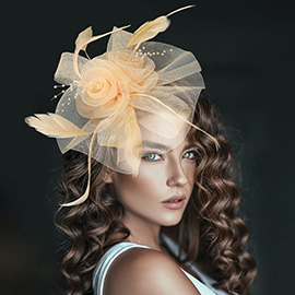Flower Feather Pearl Mesh Bow Fascinator / Headband
